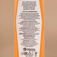 Гель для душа, 250 мл, аромат имбирного печенья, Новый Год