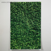 Фотофон винил "Трава" МИКС 80х125 см Фотофон винил "Трава" МИКС 80х125 см