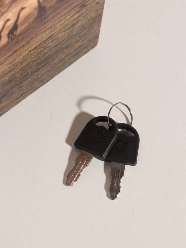 Сейф-книга дерево кожзам "Сафари в Африке" 21х13х5 см