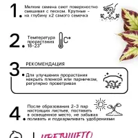 Семена цветов Колеус Визард Мозаик, 10шт