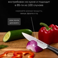 Набор кухонных ножей из 4 предметов Stein 4SS