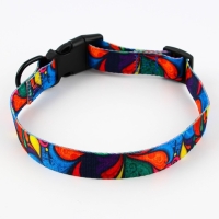 Ошейник &laquo;Невозможно слиться с улицей&raquo;, застёжка - фастекс, 2.5 см, 40-55 см