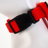 Комплект для кошек, ширина 1,5 см, ОШ 16,5-27 см, ОГ 21-35 см, поводок 120 см, красный