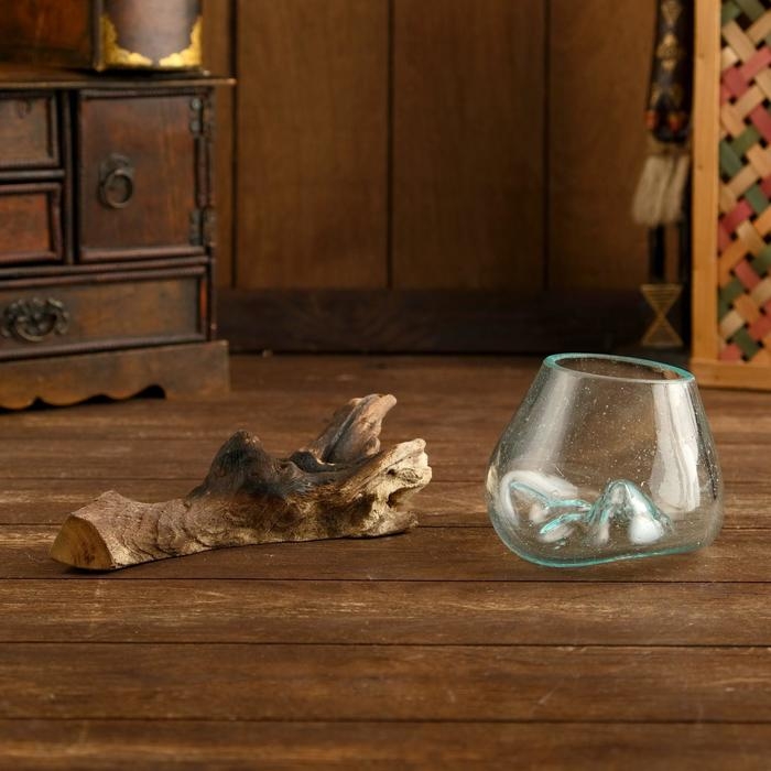 Вазон на коряге "Очарование" 12х10х10 см