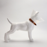 Ветеринарный воротник с креплением на ошейник, высота 10 см (без ошейника)