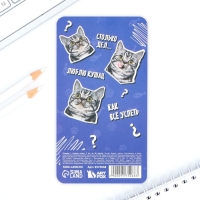 Стикеры-закладки, на подложке &laquo;Кто-то сказал Мя?&raquo; 5 шт, 30 л