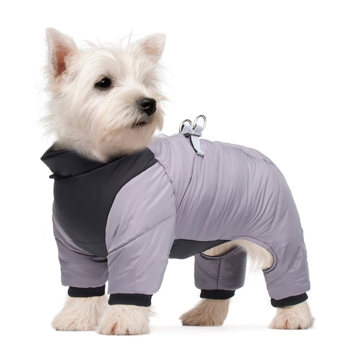 Комбинезон Комбинезон "Тренд", оксфорд, 2XL (ДС 43, ОШ 41, ОГ 53 см, вес 16-20 кг), серый