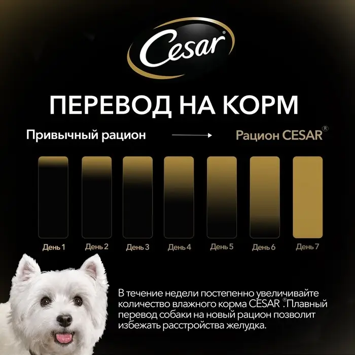 Влажный корм Cesar для собак, жаркое с уткой, пауч, 85 г