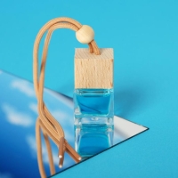 Ароматизатор подвесной в бутылочке, размер XXL &laquo;Свежесть&raquo;