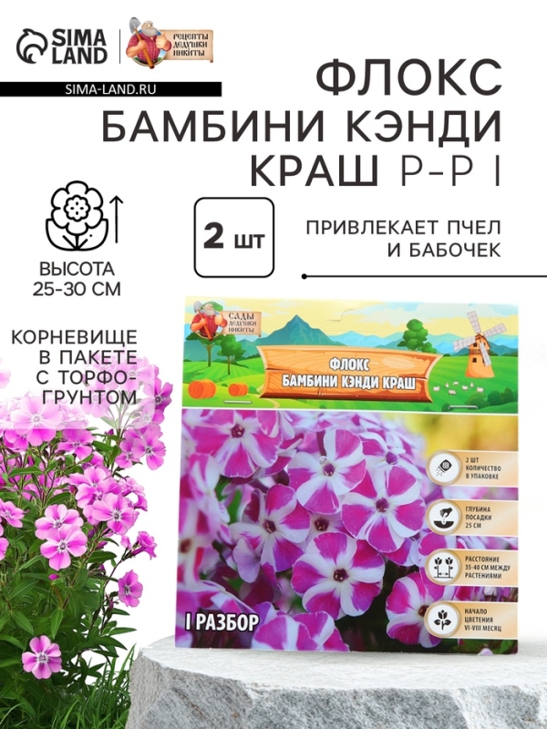Флокс &laquo;Бамбини Кэнди Краш&raquo; ркорневище в пакете с торфогрунтом, -р I, 2 шт.