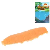 Растущие животные &laquo;Насекомое&raquo;, МИКС