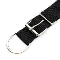 Ошейник "Комфорт" комбинированный, 55 х 2,5 см, ОШ 40-50 см, чёрный