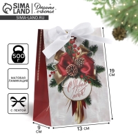 Пакет подарочный новогодний с лентой &laquo;Новый год&raquo;, 13 х 19 х 9 см , Новый год