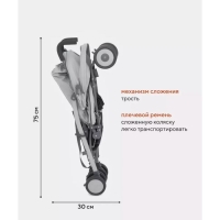 Коляска прогулочная детская RANT basic &laquo;Tango&raquo; RA351, складывается в трость, цвет Silver Grey