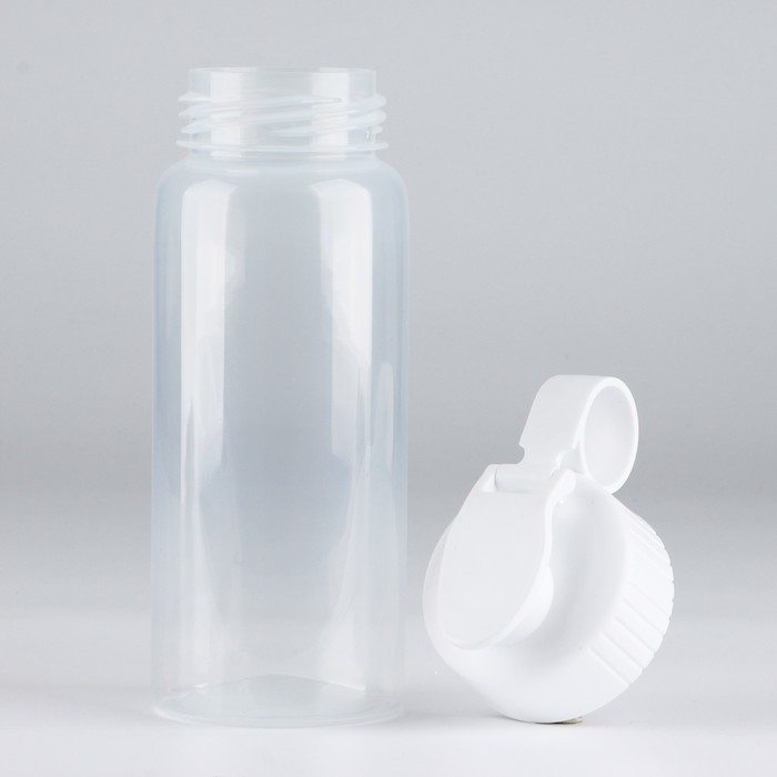 Бутылка для воды &laquo;Вид 2&raquo;, 450 мл