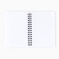 Подарочный набор &laquo;Единорог&raquo;: ежедневник 40л, паспортная обложка