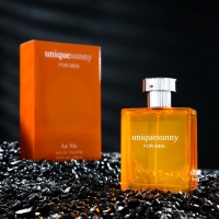 Туалетная вода мужская Unique Sunny, 100 мл Туалетная вода мужская Unique Sunny, 100 мл