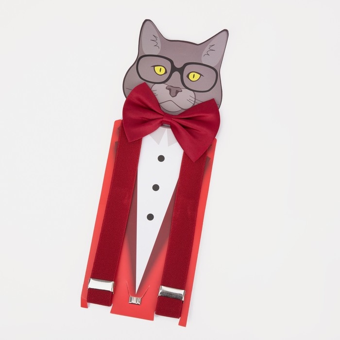 Подтяжки детские &laquo;Выбражулька&raquo;, ширина 2.5 см, бабочка, цвет красный