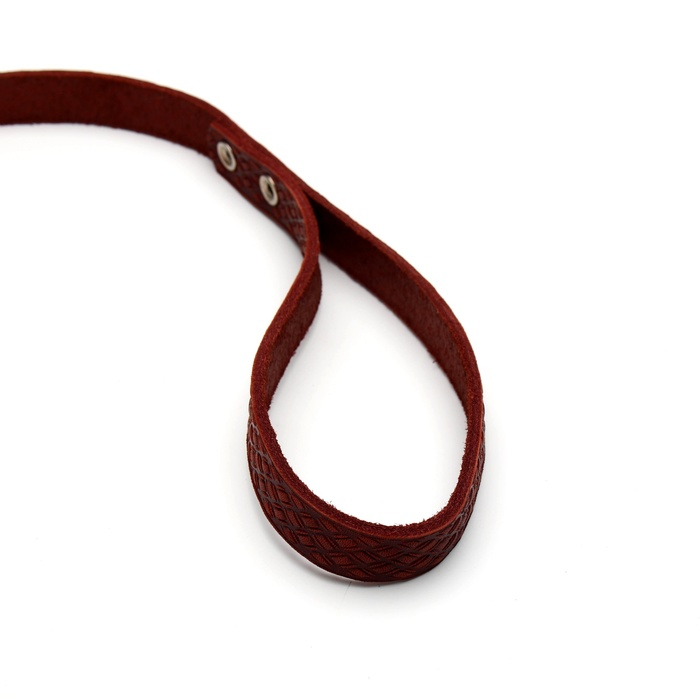 Поводок кожаный однослойный длинный, 2 м х 2 см, коричневый Поводок кожаный однослойный длинный, 2 м х 2 см, коричневый