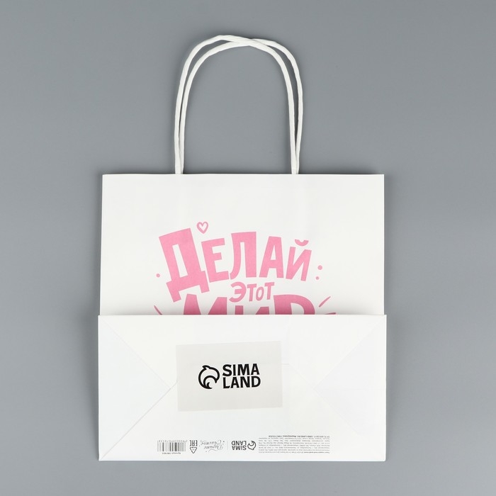 Пакет подарочный, упаковка, &laquo;Делай этот мир лучше&raquo;, 22 х 22 х 11 см