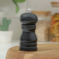 Мельница для специй Доляна &laquo;Краски&raquo;, 11 см, цвет чёрный