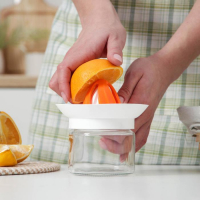 Соковыжималка &laquo;Цитрус&raquo;, 300 мл, цвет МИКС