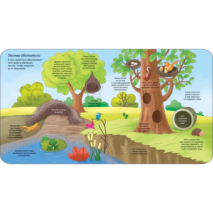 Энциклопедия с окошками &laquo;Животные&raquo;