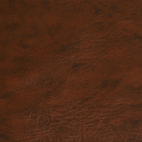 Комплект для обивки дверей 110 &times; 205 см: иск.кожа, поролон 3 мм, гвозди, коричневый, &laquo;Эконом&raquo;