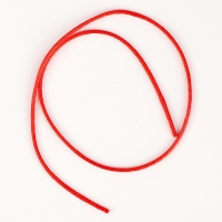 Набор для раскопок &laquo;В поисках змейки&raquo;, с инструментами