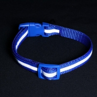 Ошейник двухслойный с фастексом и светоотражающей полосой, 30 х1,5 см, синий Ошейник двухслойный с фастексом и светоотражающей полосой, 30 х1,5 см, синий