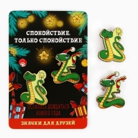 Значки новогодние «Новый год: две змейки», набор, 2 шт Значки новогодние «Новый год: две змейки», набор, 2 шт