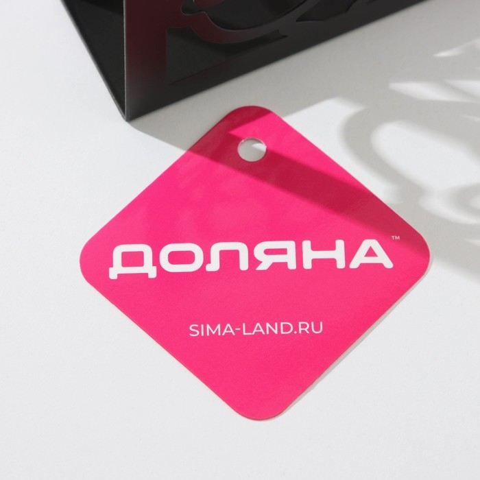 Салфетница Доляна &laquo;Цветы&raquo;, 15&times;4&times;10 см, цвет чёрный