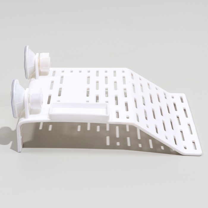 Мостик для черепах большой, на присосках, 21,5 х 17,5 х 4 см Мостик для черепах большой, на присосках, 21,5 х 17,5 х 4 см