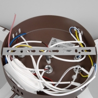 Люстра "Кольца" LED 80Вт Коричневый 2700-6400к 60х45х14 Люстра "Кольца" LED 80Вт Коричневый 2700-6400к 60х45х14