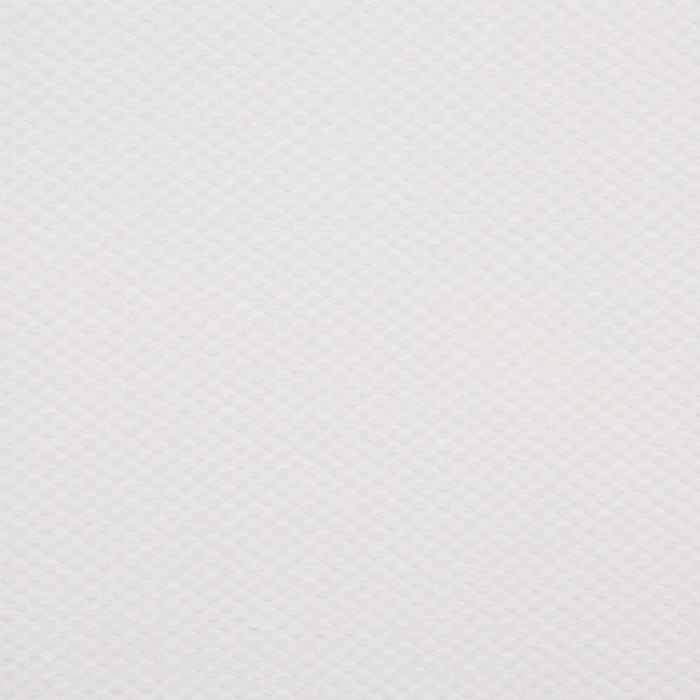 Холст на подрамнике, хлопок 100%, акриловый грунт, 2 х 80 х 100 см, 400 г/м2, , крупное зерно, Гамма "Студия"