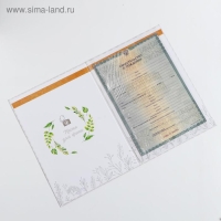 Папка для свидетельства о рождении &laquo;Мишки&raquo;, А4