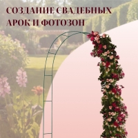 Арка садовая, 240&times;125&times;20 см, для вьющихся растений, металлическая, зелёная