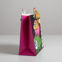 Пакет подарочный, упаковка, «Surpprise», 25 х 26 х 10 см Пакет подарочный, упаковка, «Surpprise», 25 х 26 х 10 см