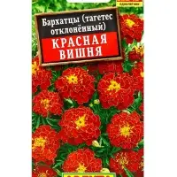 Семена цветов Бархатцы Красная вишня отклоненные , Ц/П,0,3 г