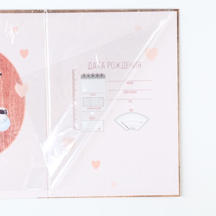 Папка для свидетельства о рождении "Мама и малыш", медведи, 23 х 17 см