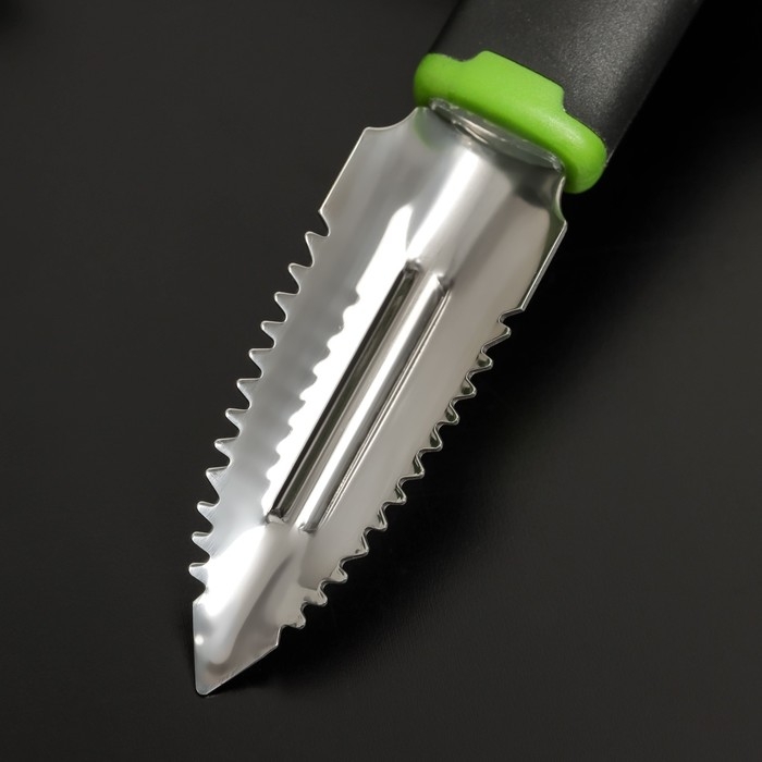 Рыбочистка Доляна Lime, 19&times;2,5 см, цвет чёрно-зелёный