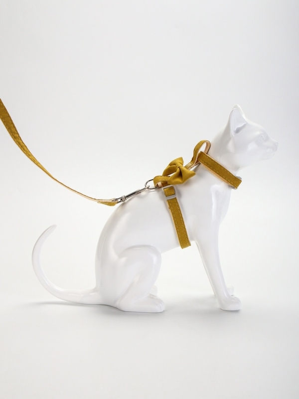 Комплект амуниции "Леди и Джентельмен", поводок 120 х 1,5 см, желтый