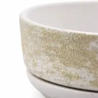 Горшок бонсайница 0,6 л, 15&times;5,5 см  для кактусов и суккулентов белый, керамика "НАВИ"