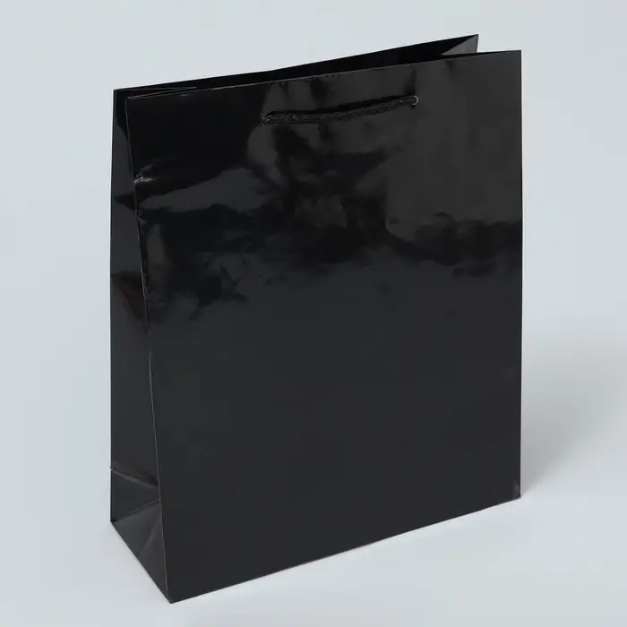 Пакет подарочный ламинированный, упаковка, &laquo;Чёрный&raquo;, ML 21 х 25 х 8 см