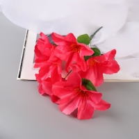 Букет "Адениум экстра галант" d-14 см 30 см, микс