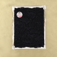 Кружевная эластичная ткань, 180 мм &times; 2,7 &plusmn; 0,5 м, цвет чёрный