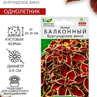 Семена цветов Колеус балконный "Бургундское вино", ц/п, 5 шт