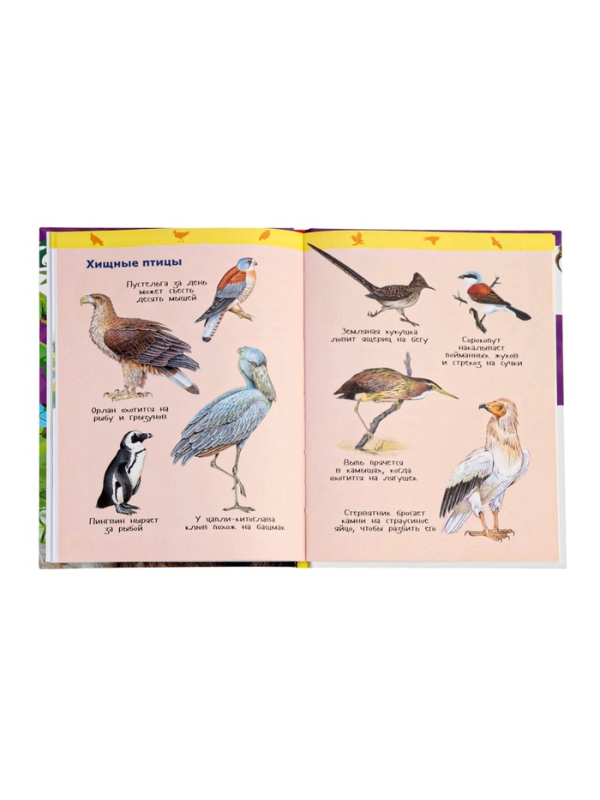 Детская энциклопедия "Дикие животные"