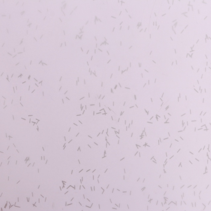 Пленка для цветов "Звездная ночь", 58 см х 5 м светло голубой