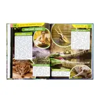 Энциклопедия &laquo;Аксолотль. Самые удивительные животные&raquo; 405007